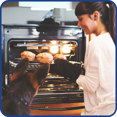 Lifestyle Blog How to Use Your Oven Effectively